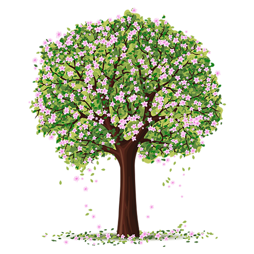 Zonnetuin Verkoopwinkel